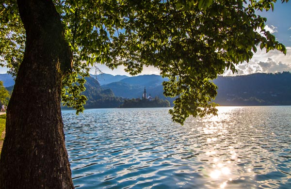 Bled