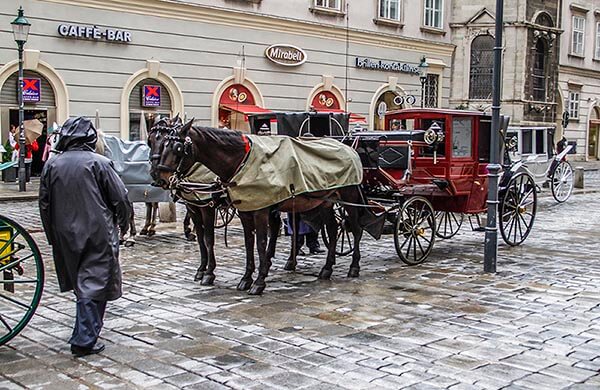 Hästdroskor i Wien