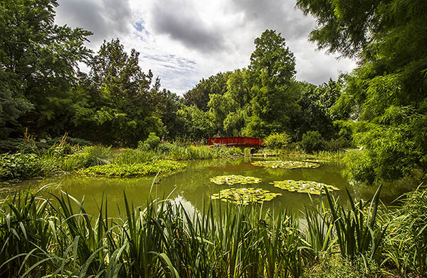 Botaniska trädgården