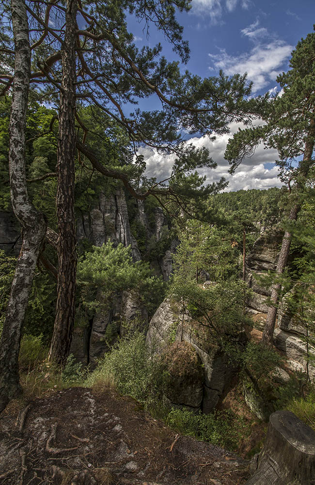 Bastei Sächsische Schweiz